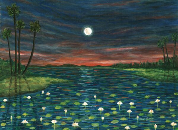 Lily Pond